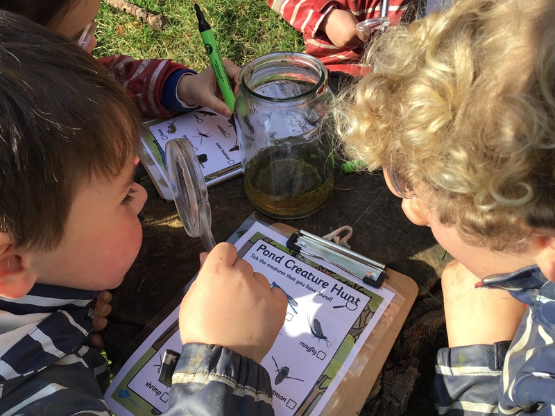 🌳EYFS Forest School-Pond dipping🌳