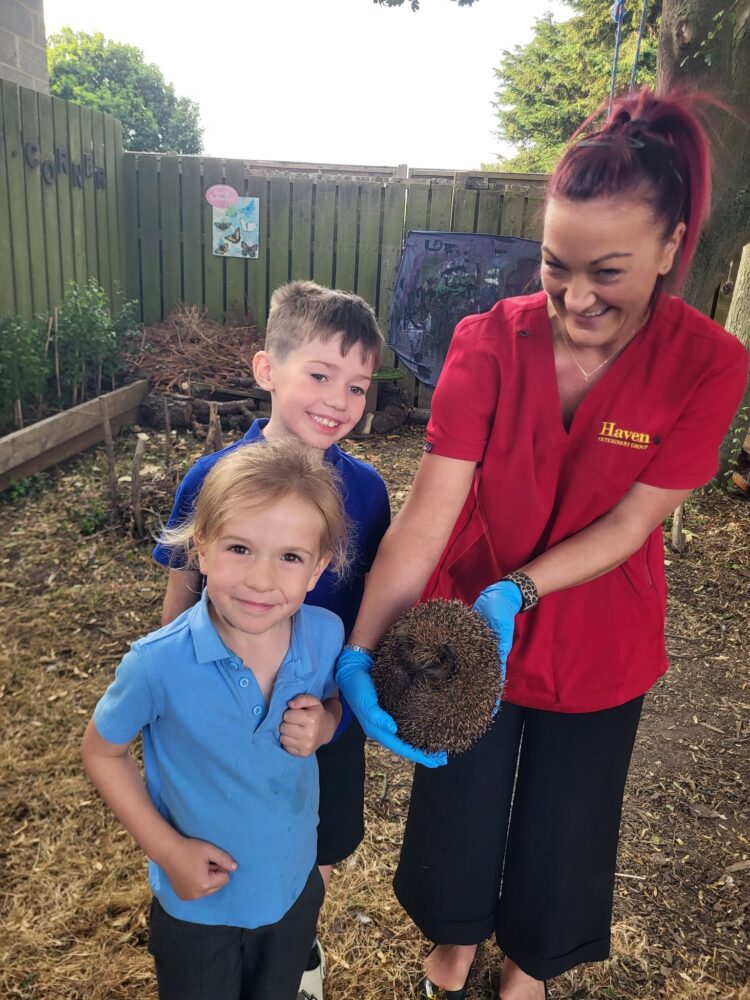 Hedgehog heroes!